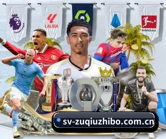 足球直播 APP